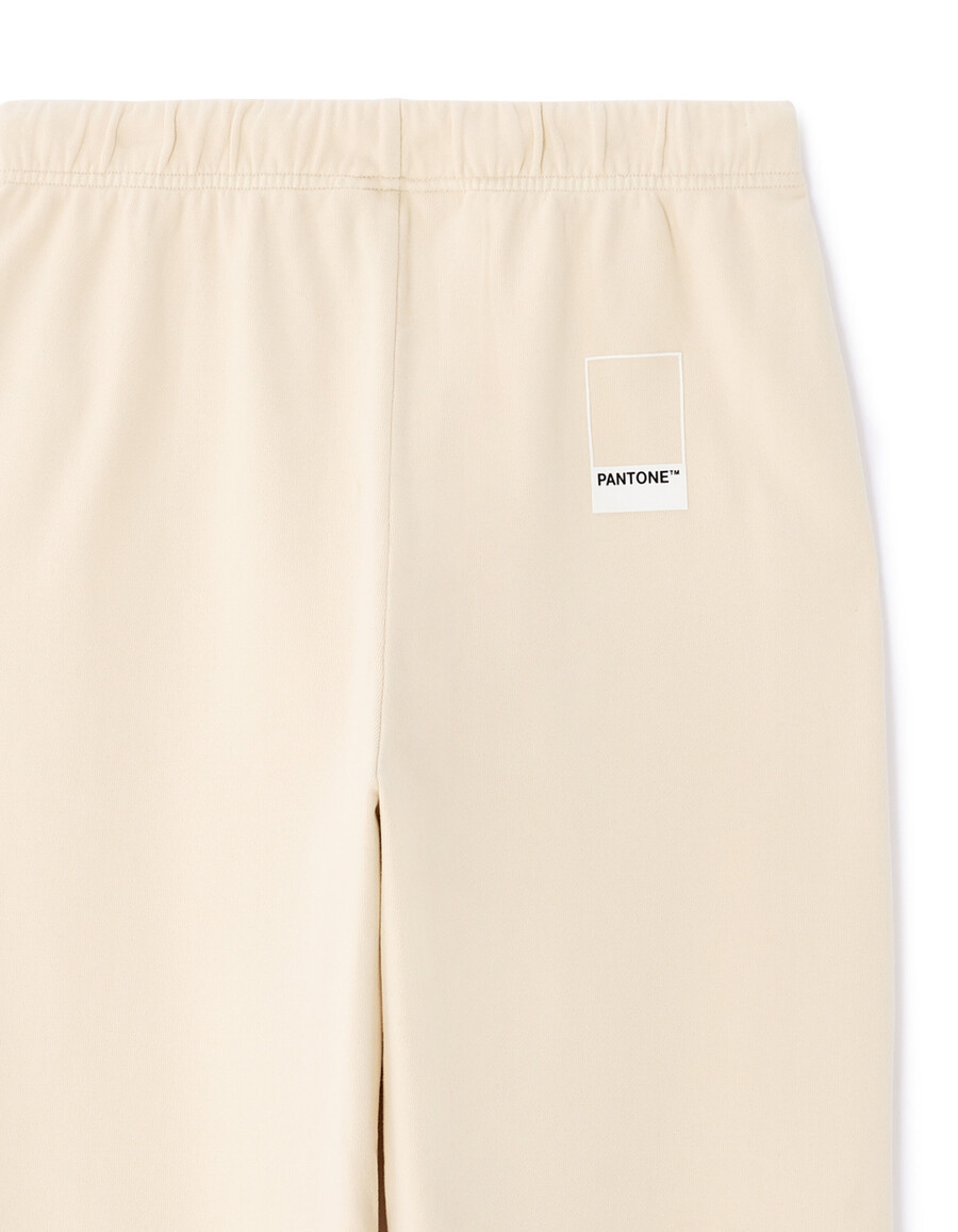 pantone