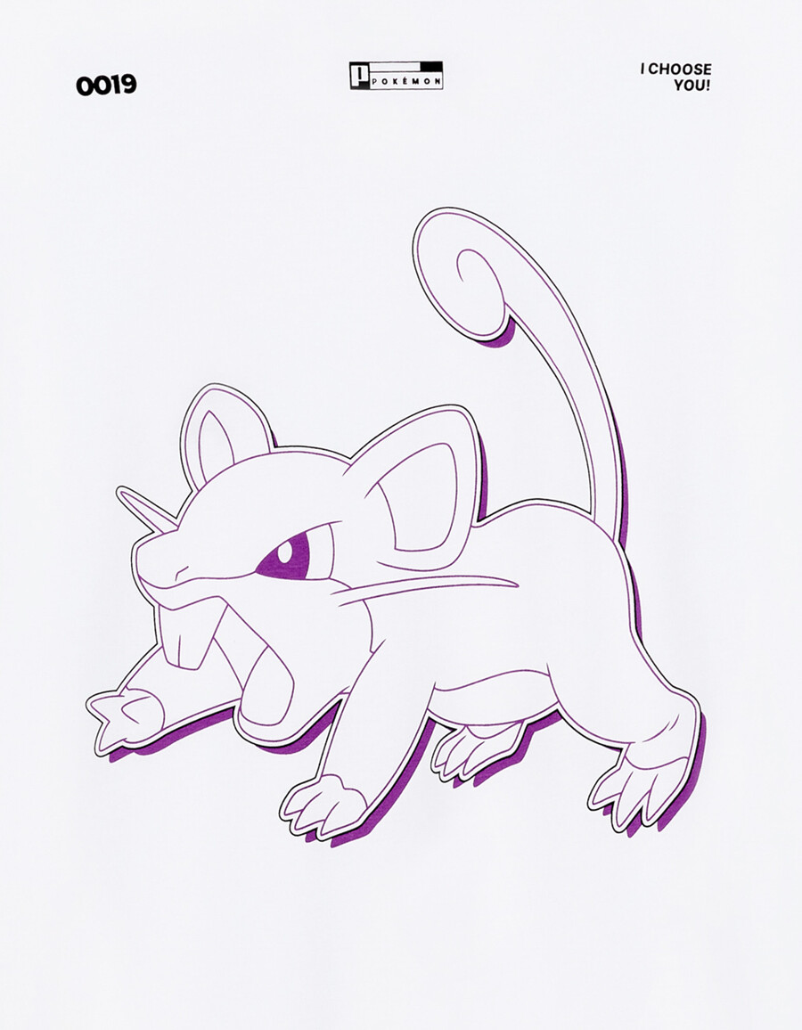 pokémon