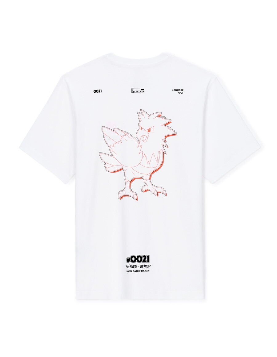 pokémon