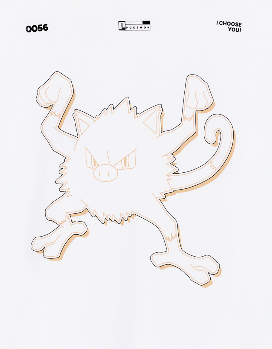 pokémon