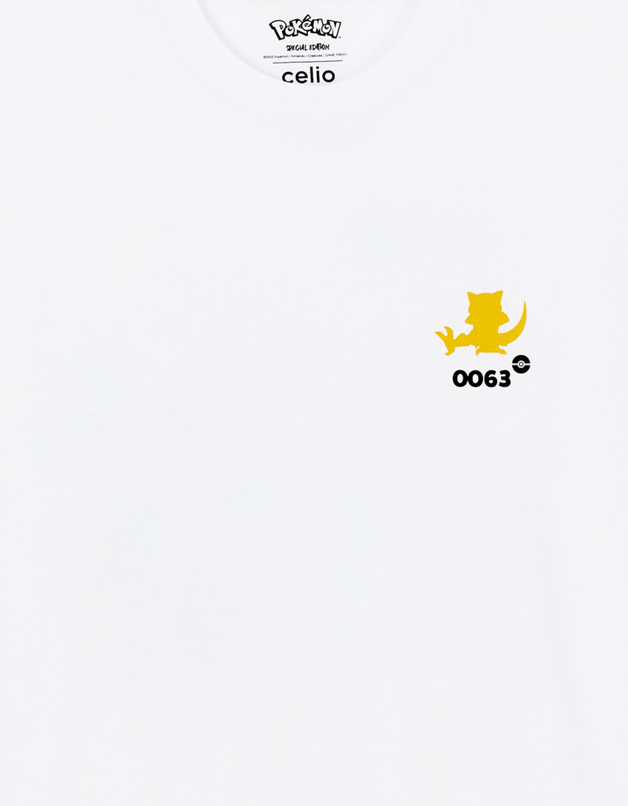 pokémon