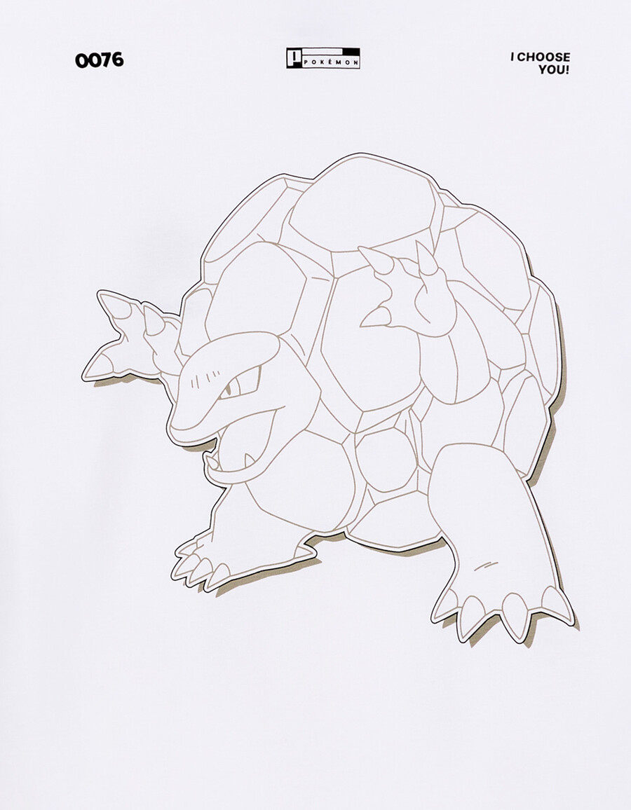 pokémon