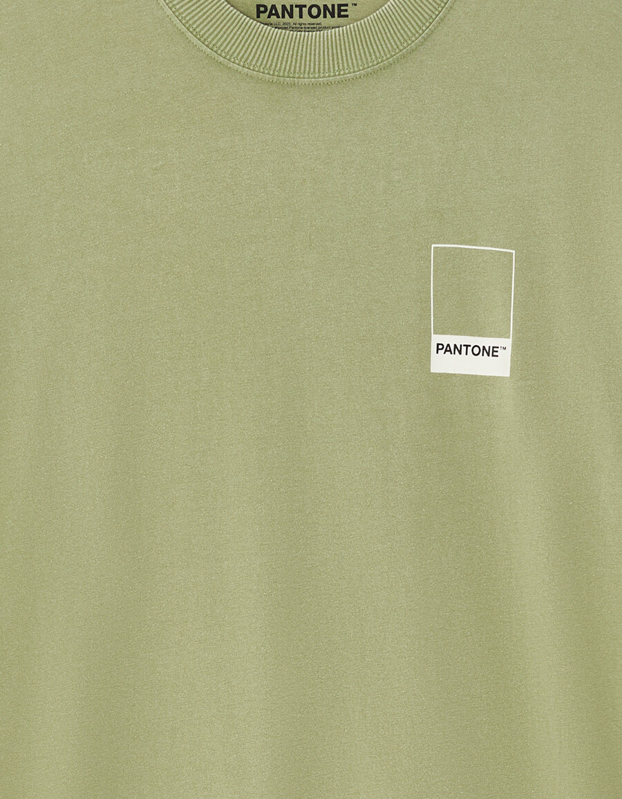 pantone