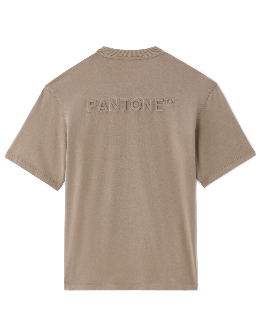 pantone