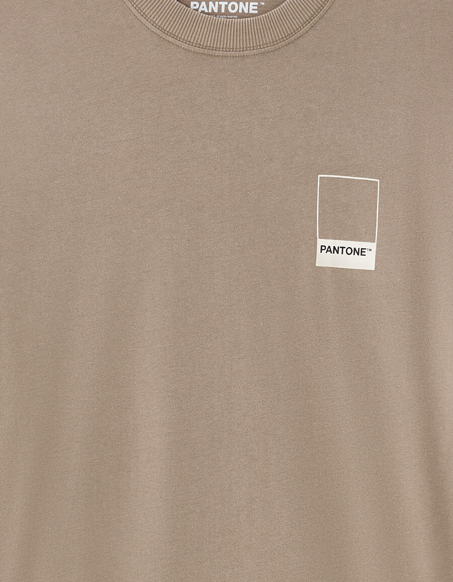 pantone