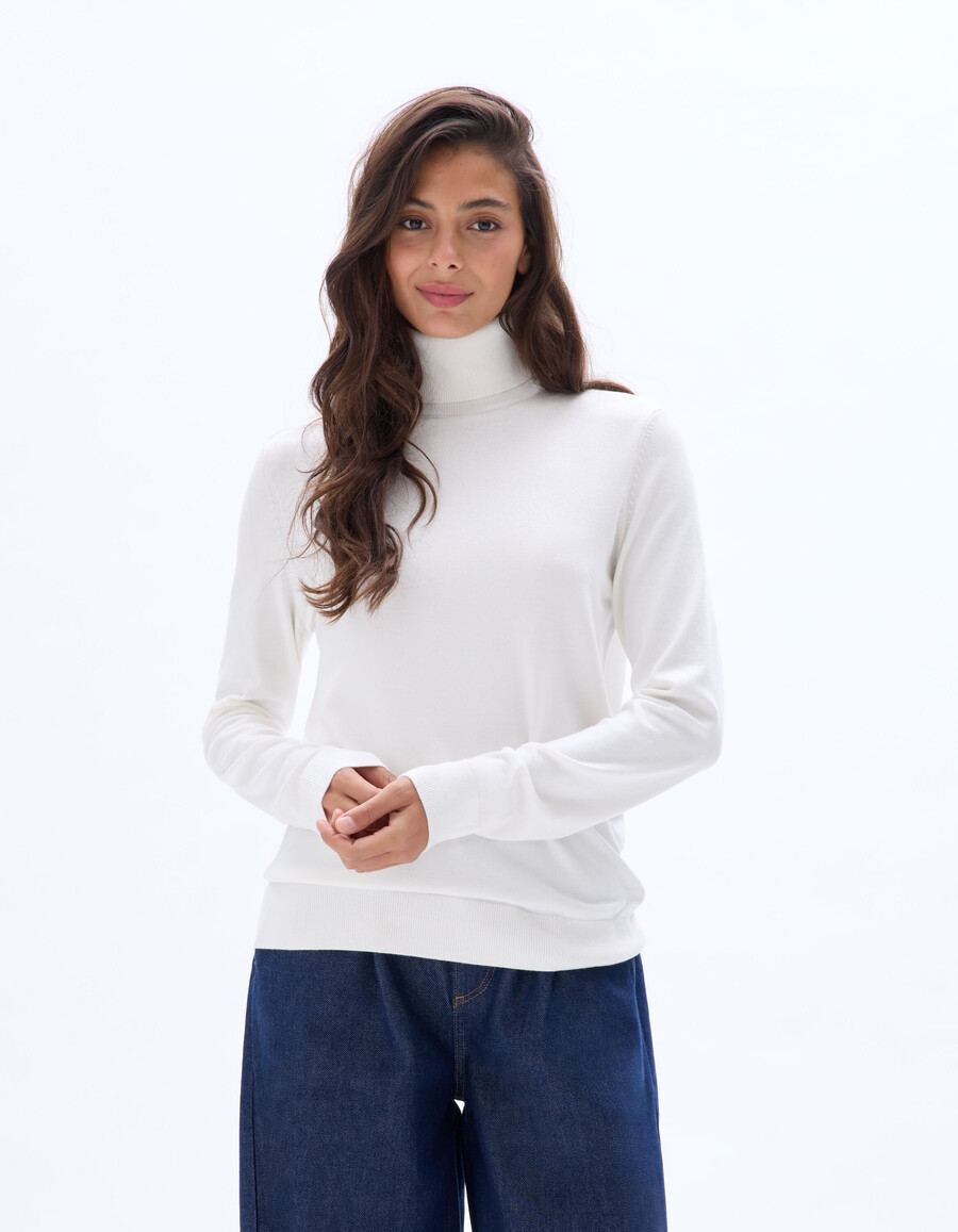 feinstrick-rollkragenpullover