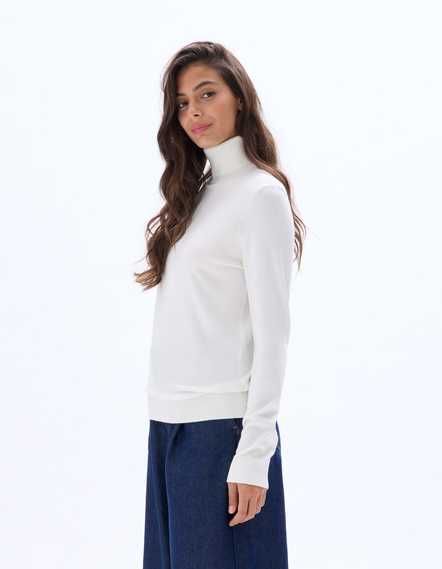 feinstrick-rollkragenpullover