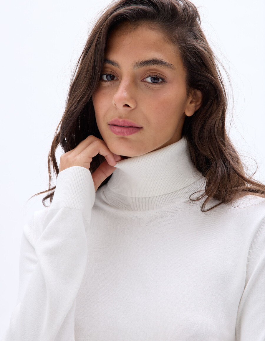 feinstrick-rollkragenpullover