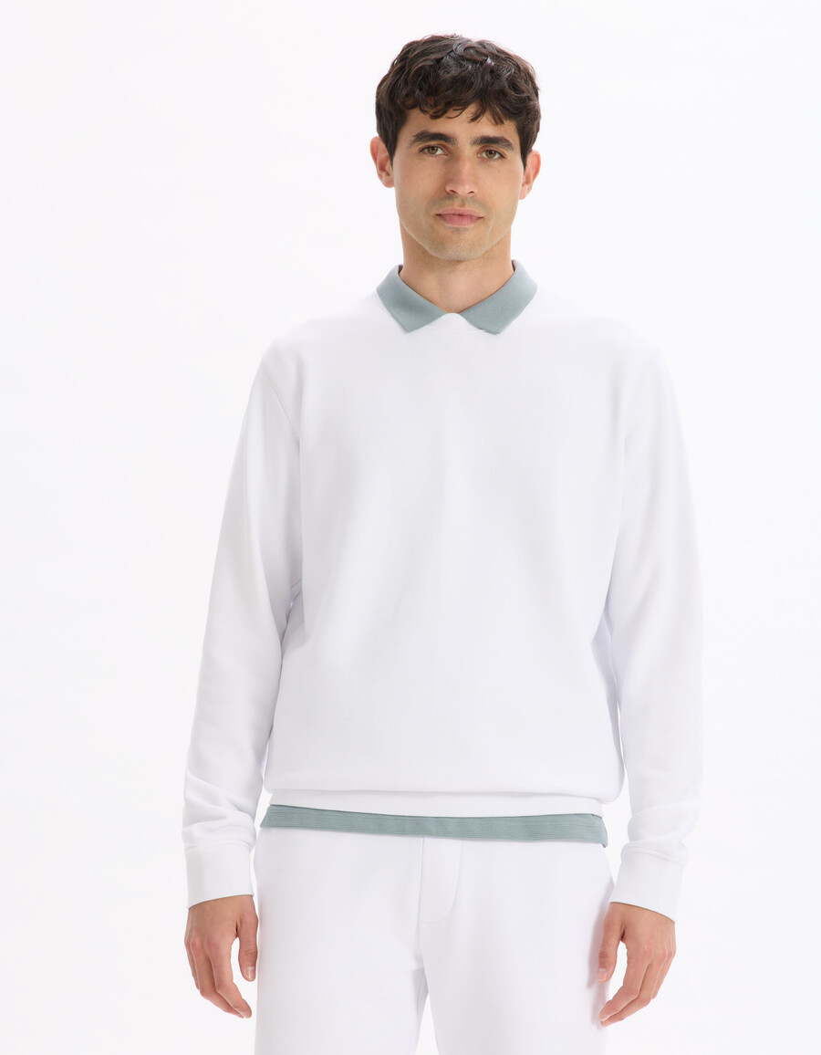 normales rundhals-sweatshirt aus 100 baumwolle